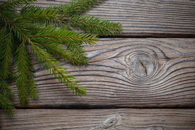 Fir branch on old dark wooden background