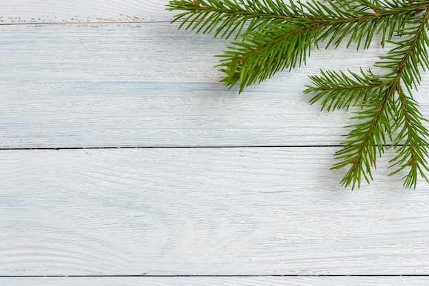 fir branch on white wooden background.