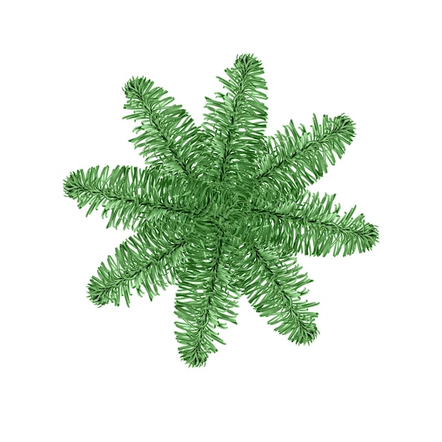 Fir branches folded in the shape of snowflakes on white background