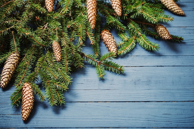 Fir branches with cones on blue wooden background