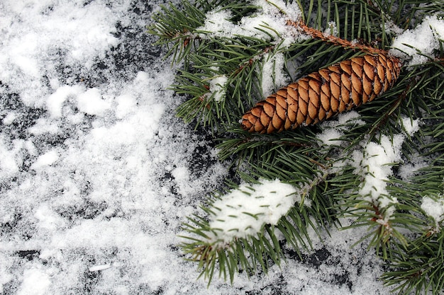 Fir cones and branches on a wooden background with fresh white snow