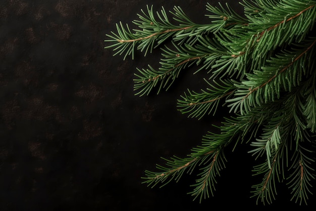 Fir needles background copy space mockup