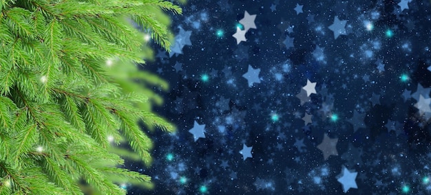 Fir tree frame banner with stars