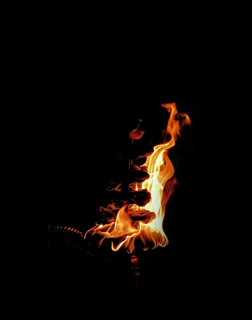 Fire on a black background