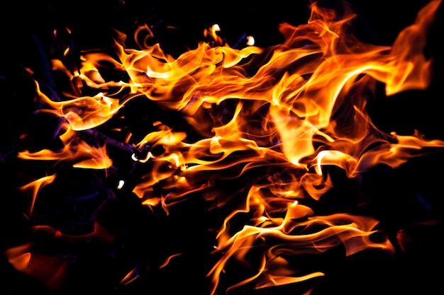 Fire burning on a black background red fiery flame