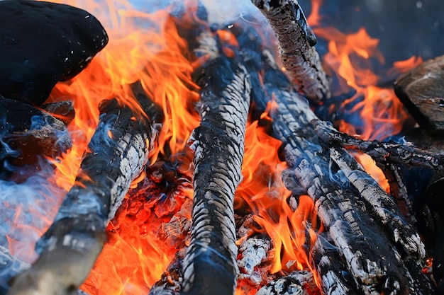 fire coals background burns the fire tree firewood