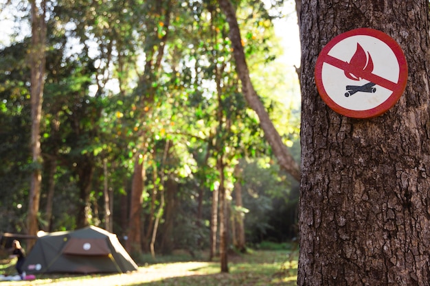 Photo fire danger sign on the tree. icon of prohibition of fire risk at the woods. it is forbidden to light a fire on a camping tent at a natural park. stop burning nature resources. prevent deforestation