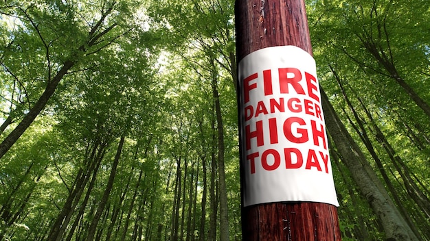 Fire danger sign on the tree