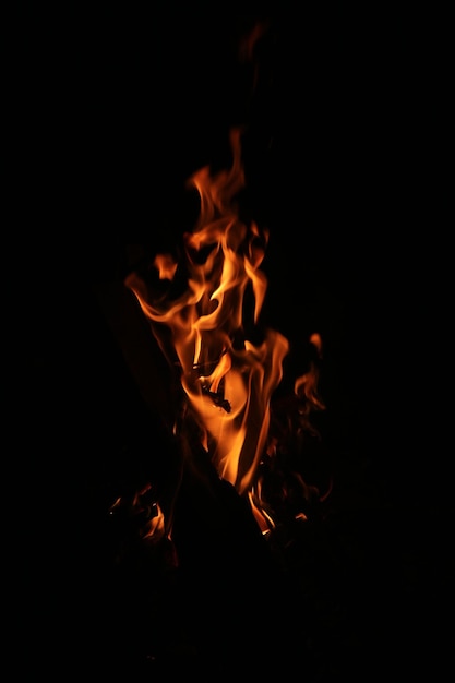 Fire flames on black background