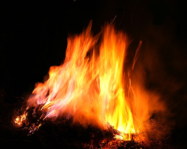 Fire flames isolated on a black background