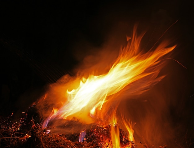 Fire flames isolated on a black background