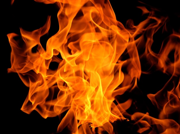 Fire flames isolated on a black background