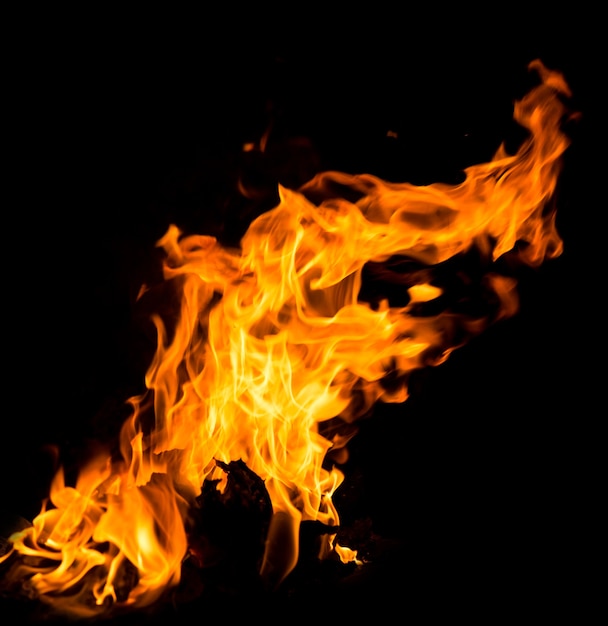 Fire flames isolated on a black background