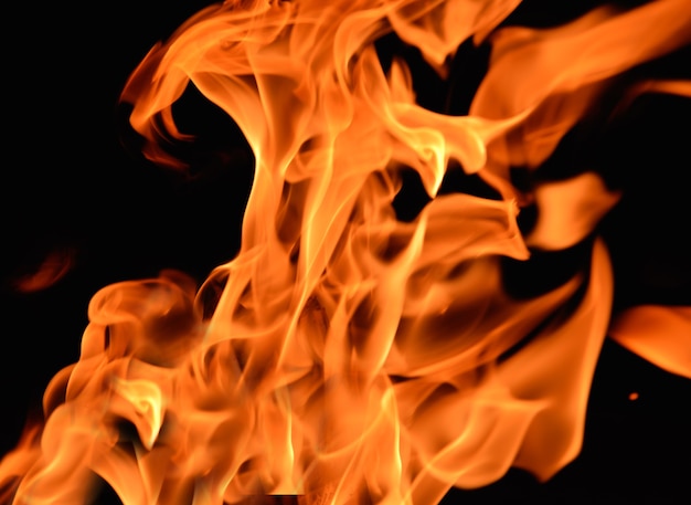 Fire flames isolated on a black background