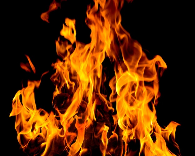 Fire flames isolated on a black background