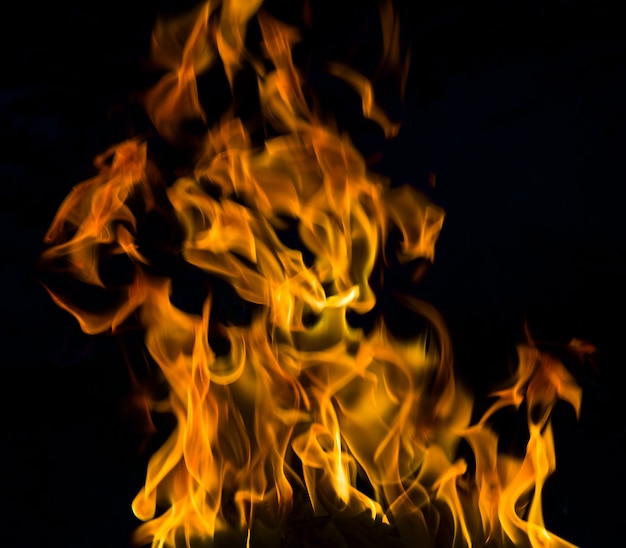 Fire flames isolated on a black background