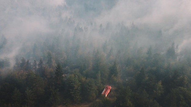 Fire in the forest. Strong fire and mist in the forest