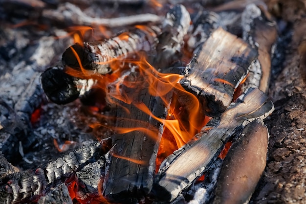 Photo fire on the ground for beautiful gaucho meats with red hot coals