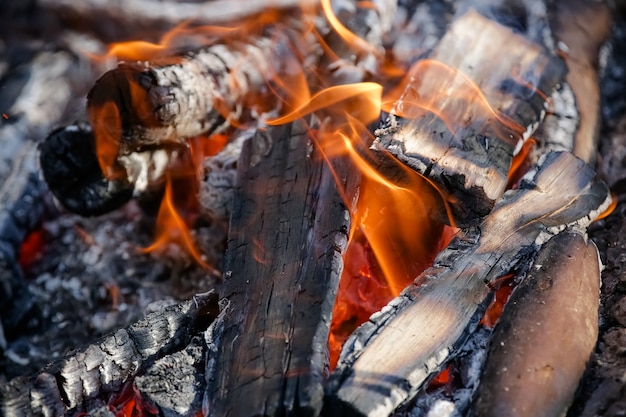 Fire on the ground for beautiful gaucho meats with red hot coals