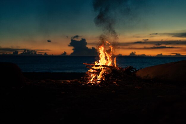 The Fire Has Lit Its Light Illuminates Nature