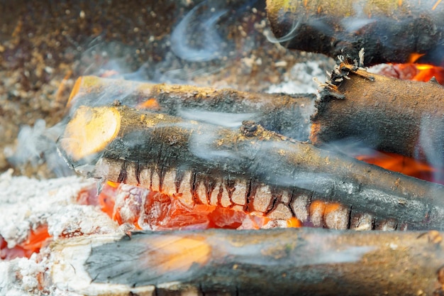 Fire on sticks in the fire a cloudy spring day camping