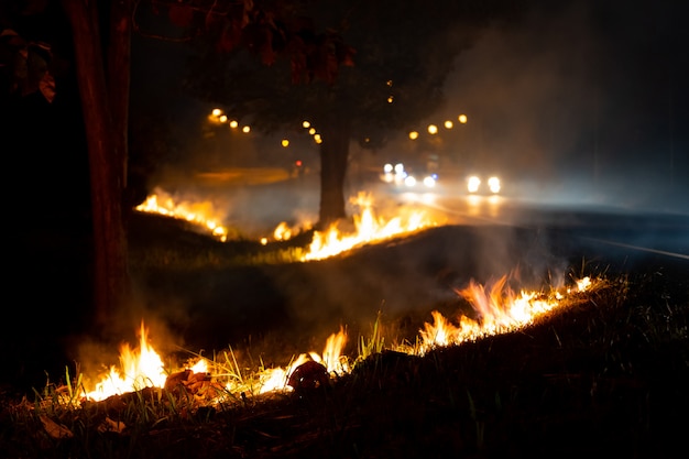 Fire over the wild side of the road, The flame of burning at night