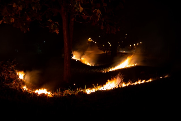 Fire over the wild side of the road, The flame of burning at night