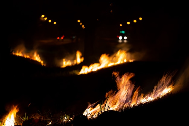 Fire over the wild side of the road, The flame of burning at night