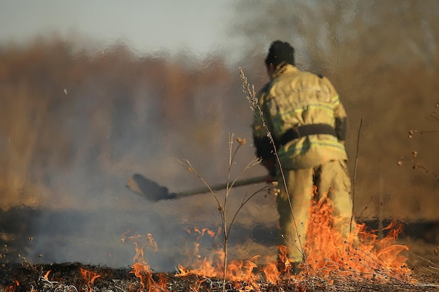 firefighter puts out grass / forest fire, dry grass burns, wind blows