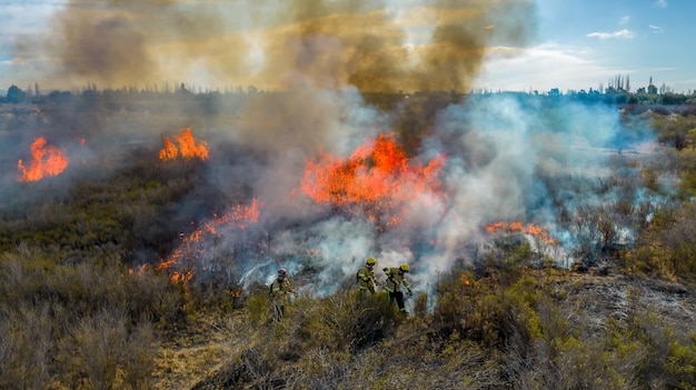 Firefighters put out a fire in the forest. Aerial view.