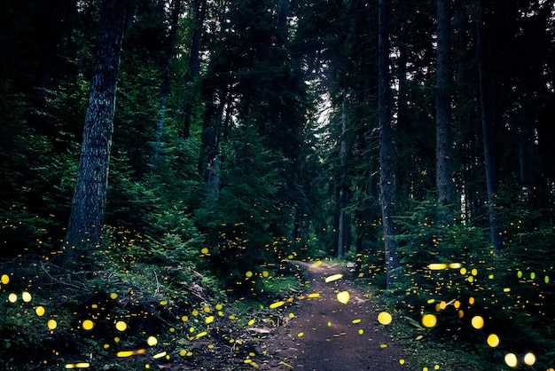 Fireflies flying in the forest at twilight.