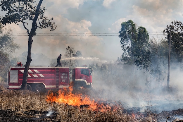 The fireman on fire truk with hose extinguish a fire