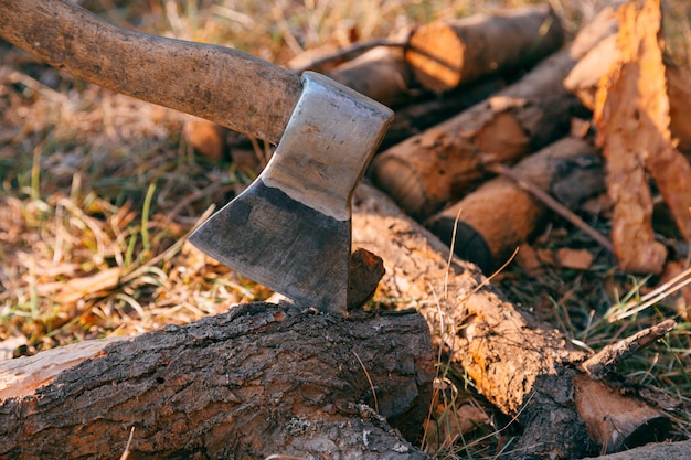 Firewood and ax in wood. Ax cleaver and a lot of firewood, tree, forest, split, cut, fuel, work, industry, material, raw, heat, renewable, saw, forestry, cut-resistant