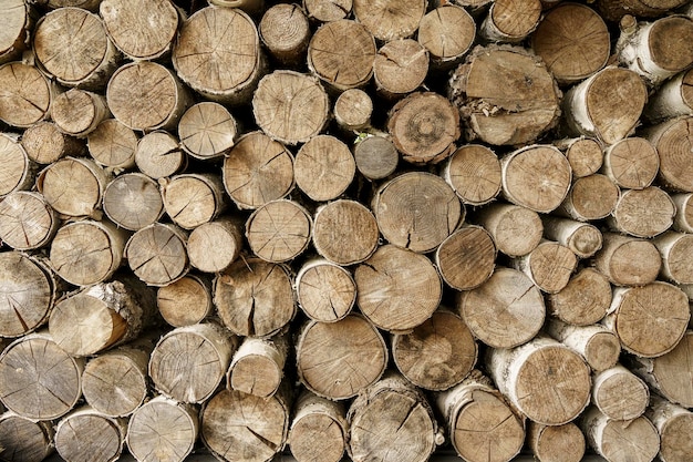 Firewood background Sawn trunks and logs of needles and birch for making a fire and decor