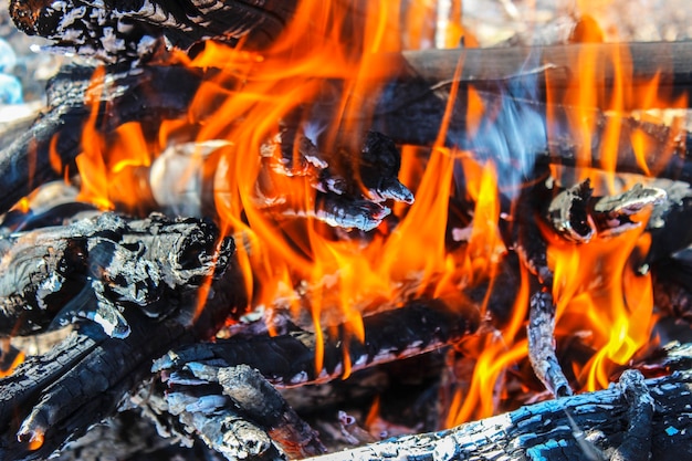 Firewood burning in the fire