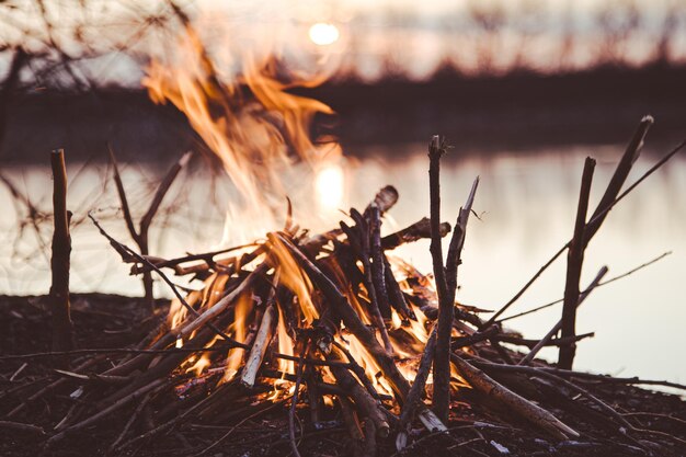 Firewood burns in the fire picnic in nature fire in the forest