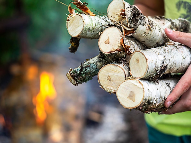 Firewood in hand Fuel Energy World Crisis Stocking up on firewood