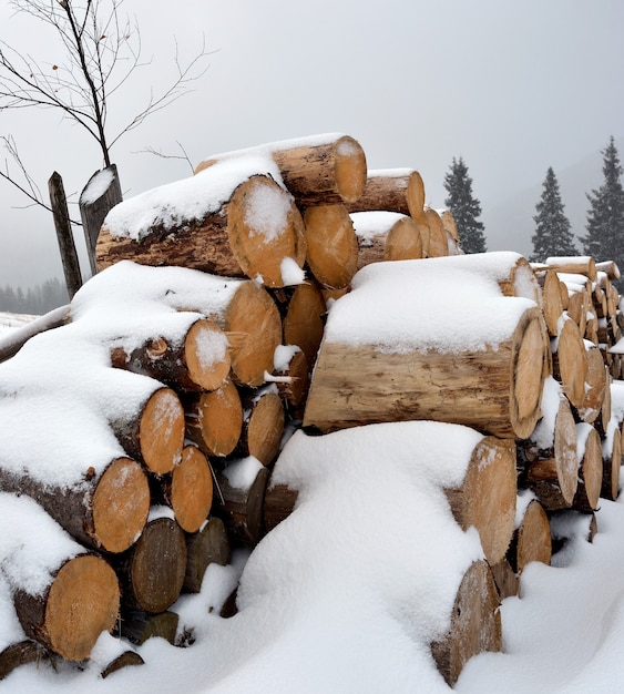 Firewood under the snow in winter