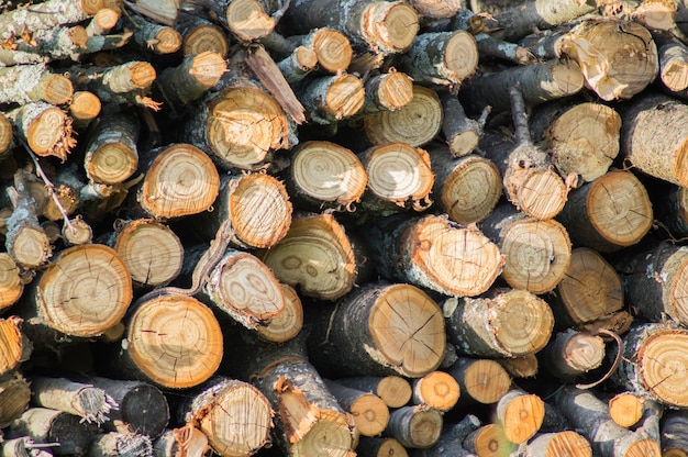 Firewood stack close up