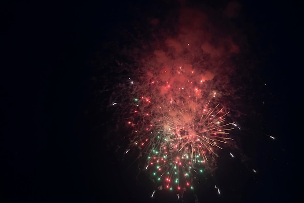 Fireworks blooming in the night sky