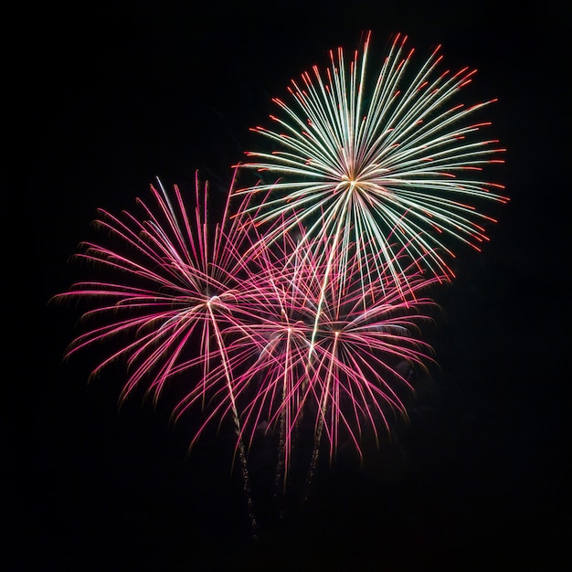 Fireworks in the dark sky