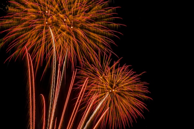 Fireworks light up the sky in a dazzling display