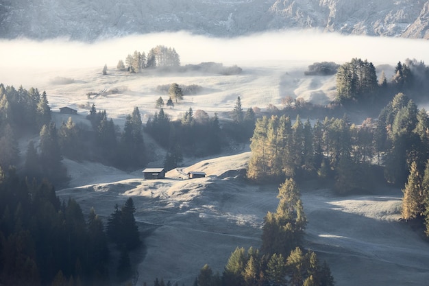 The first autumn frosts on the slopes of Seiser Alm plateau highlands South Tyrol Italy