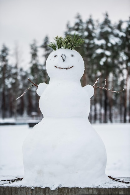 First Beautiful snowman Making a snowman first snow