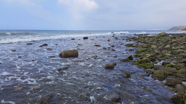 First line of coast with landscape of stones