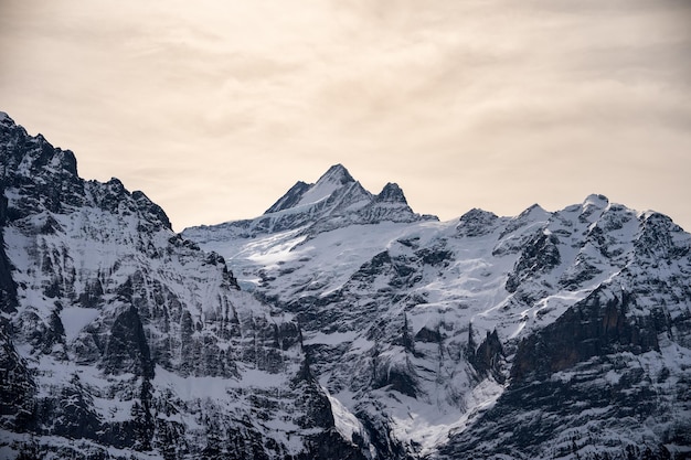 First mountain in Grindelwald with Alpine views Switzerland