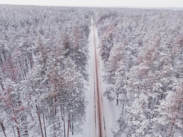 First snow in spruce tree forest Driving in forest after snowfall aerial drone view Snowy forest road Pine trees as a background Winter landscape from air Natural forest background