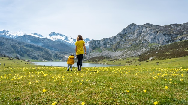 First steps of a baby in Lake Ercina in spring with yellow flowers in the Lakes of Covadonga and the snowy mountains Asturias Spain