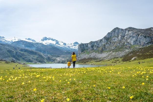 First steps of a baby in Lake Ercina in spring with yellow flowers in the Lakes of Covadonga and the snowy mountains Asturias Spain