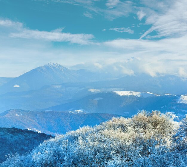 First winter snow and mountain beech forest